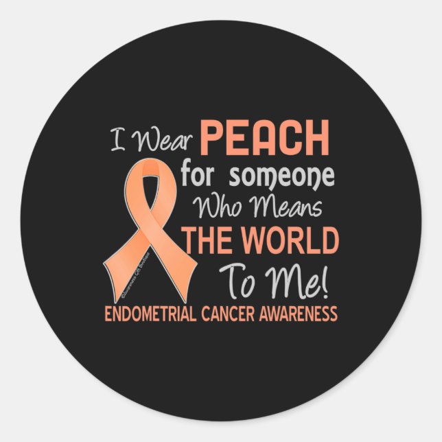 Endometrial Cancer  For Someone Who Means World To Classic Round Sticker (Front)