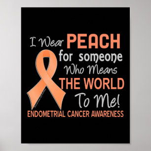 Endometrial Cancer  For Someone Who Means World To Poster