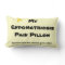 Endometriosis:  Pain Pillow