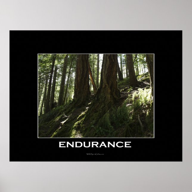 ENDURANCE Forest Motivational Photo Print (Front)