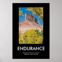 ENDURANCE POSTER