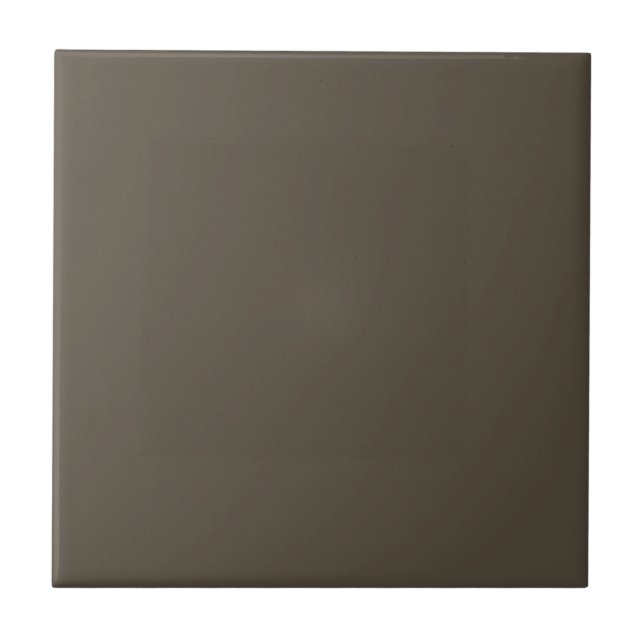 Enduringly Bronze Brown Square Kitchen and Bath Tile (Front)