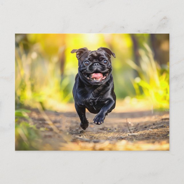 Energetic Pug Running Through Forest Postcard (Front)