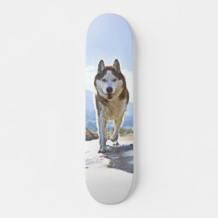 Energetic Skate Siberian Husky Walking Skateboard