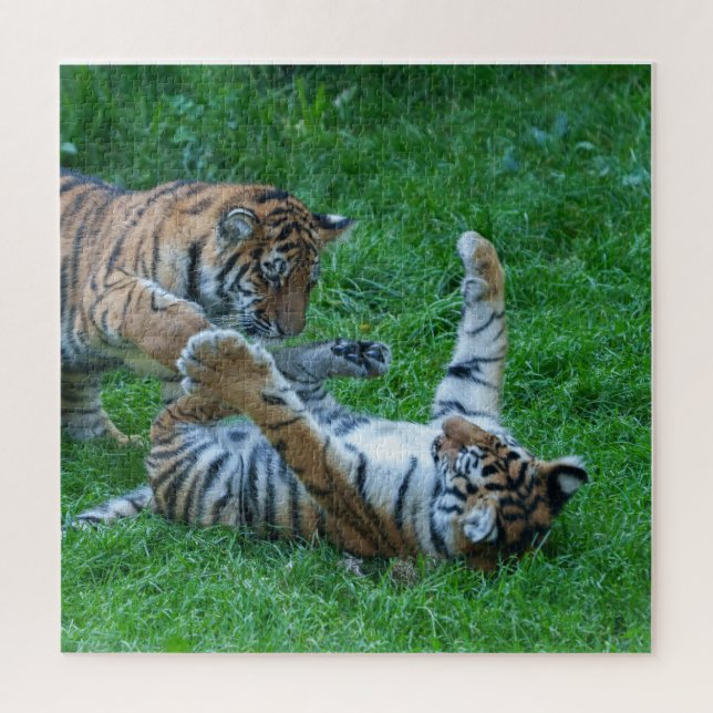 Energetic Tiger Cubs Jigsaw Puzzle (Vertical)
