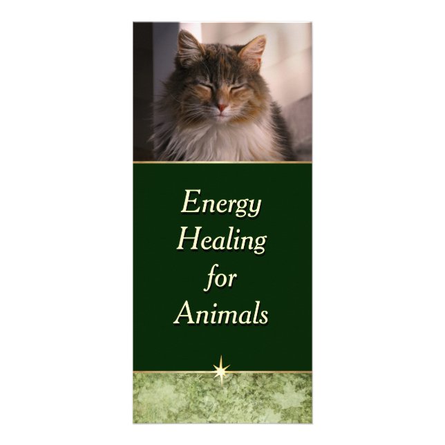 Energy Healing for Animals Rack Card (Front)