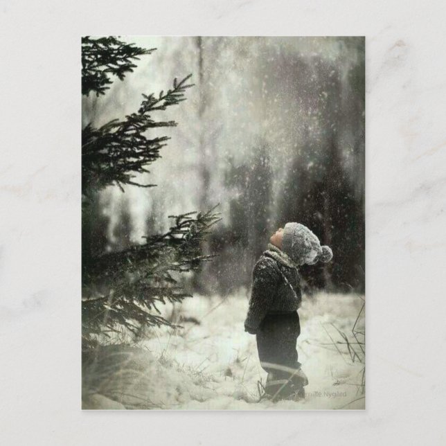 Enfant et sapin postcard (Front)