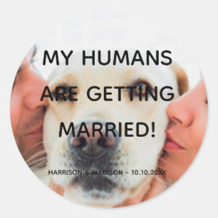 Engagement announcement Custom photo dog couple Classic Round Sticker