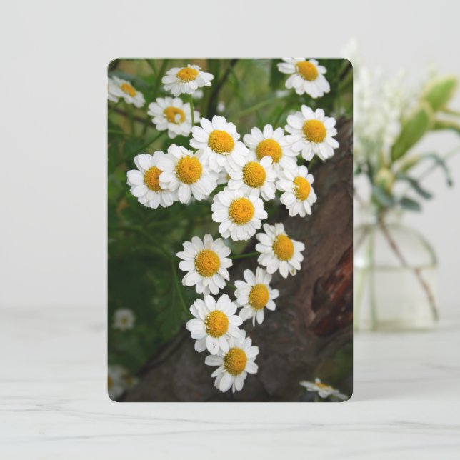 Engagement Bridal shower Invitations (Standing Front)