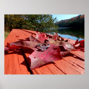Engagement Ring on an Autumn Leaf Poster