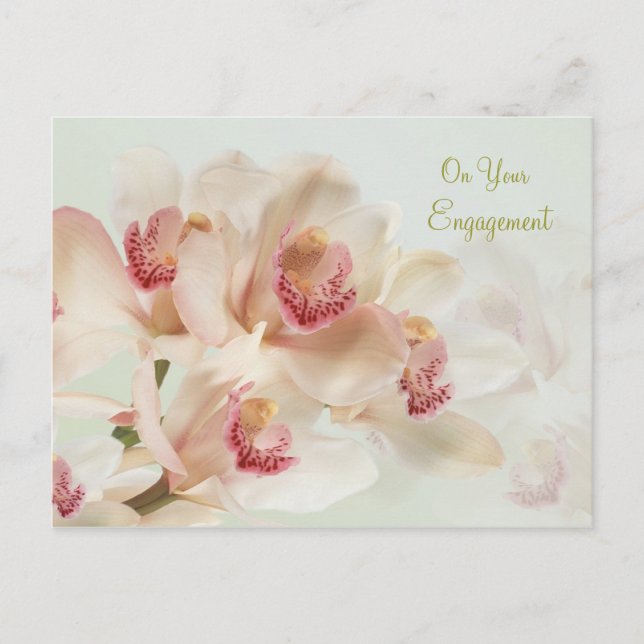 Engagement - Whitw Orchids in full bloom Postcard (Front)