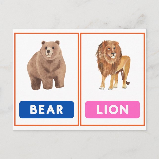 Engaging Wild Animal Flashcards  Postcard (Front)