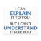 Engineer's Motto Can't Understand It For You