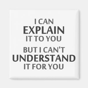 Engineer's Motto Can't Understand It For You Magnet