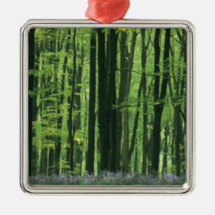 England, Beech forest & Bluebells Metal Tree Decoration
