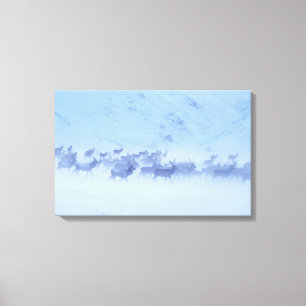 England Canvas Print