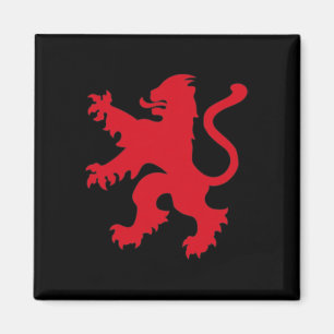 England Soccer Jersey England Footll Team Lion  Magnet