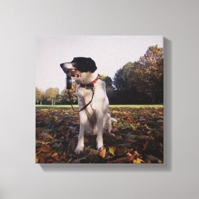 England, St.Albans Canvas Print (Front)