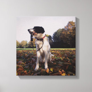 England, St.Albans Canvas Print
