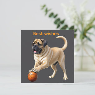 Englische Dogge Mastiff mit Ball