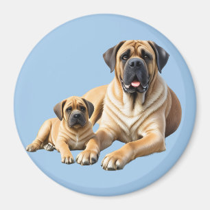 Englische Dogge Mastiff mit Kind Magnet