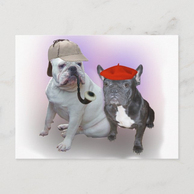 English and French bulldogs Postcard (Front)