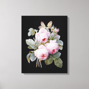 English Bourbon Roses Bouquet on Black by Redoute Canvas Print