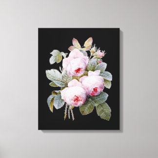 English Bourbon Roses Bouquet on Black by Redoute Canvas Print