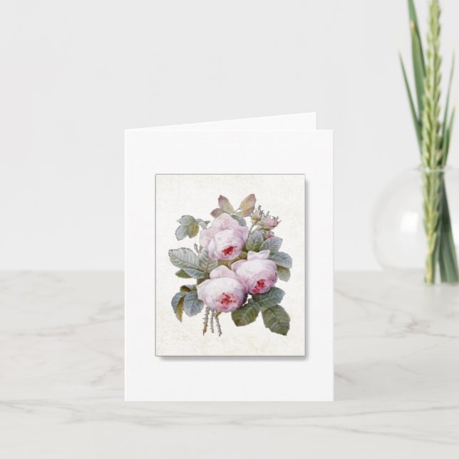English/Bourbon Vintage Roses Note Card (Front)