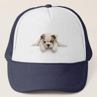 English Bull Dog Hat