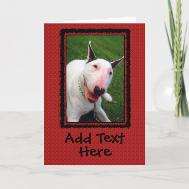 English Bull Terrier Custom Greeting Card (Front)