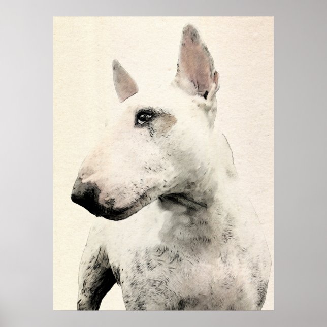 English Bull Terrier Dog Poster (Front)