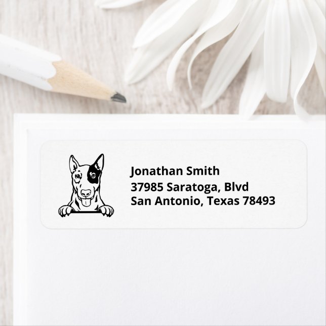 ENGLISH BULL TERRIER | Image of Head Address (Insitu)