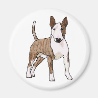 English Bull Terrier