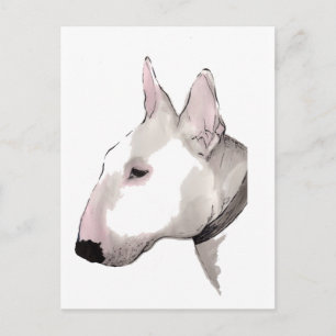 english bull terrier postcard