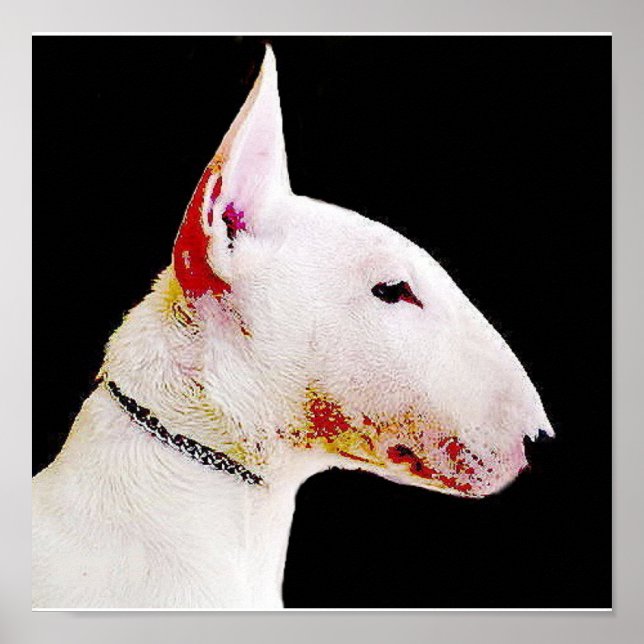 English bull terrier poster (Front)