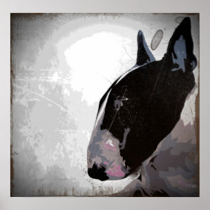 English Bull Terrier, urban contemporary dog art Poster