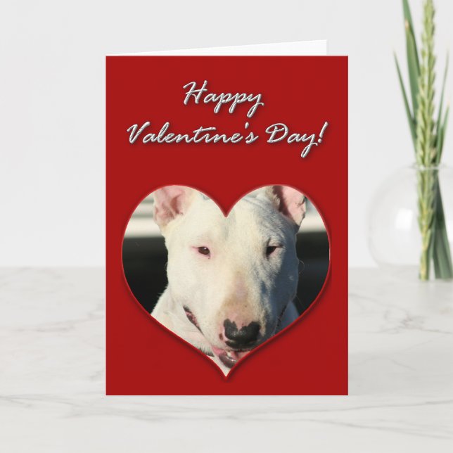 English Bull Terrier Valentines Day Card (Front)