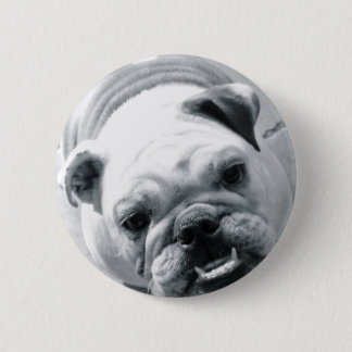 English Bulldog 6 Cm Round Badge