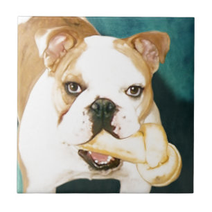 English Bulldog "Adagio" Tile
