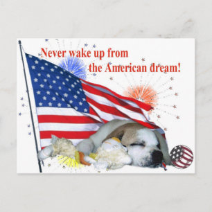 English Bulldog – American Dream Postcard