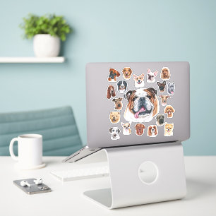 English bulldog and friends