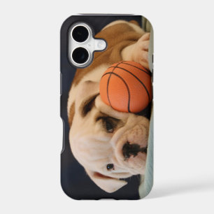 English Bulldog Basketball Puppy