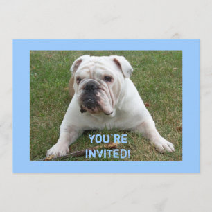 English Bulldog Birthday Invitations