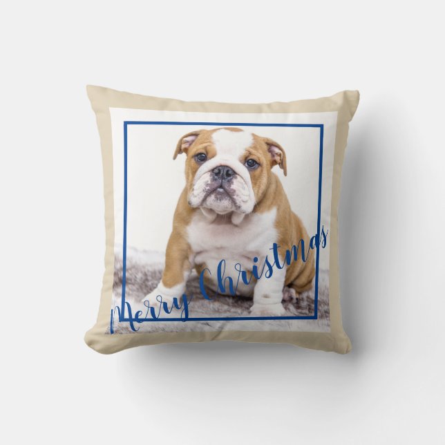 English Bulldog Blue Christmas Holiday Photo Cushion (Front)