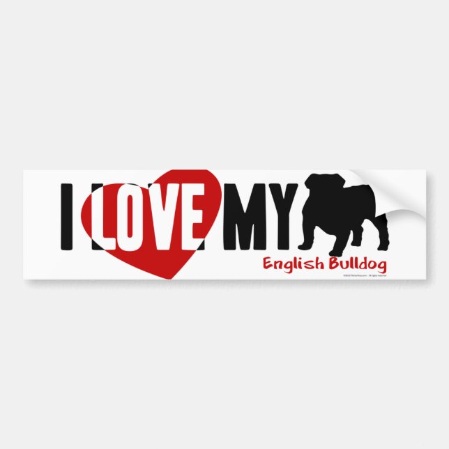 English Bulldog Bumper Sticker (Front)