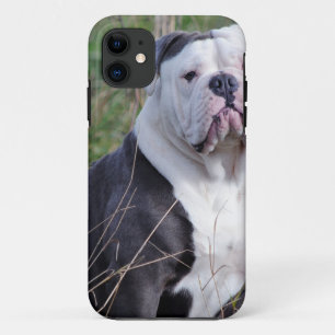English Bulldog iPhone 11 Case