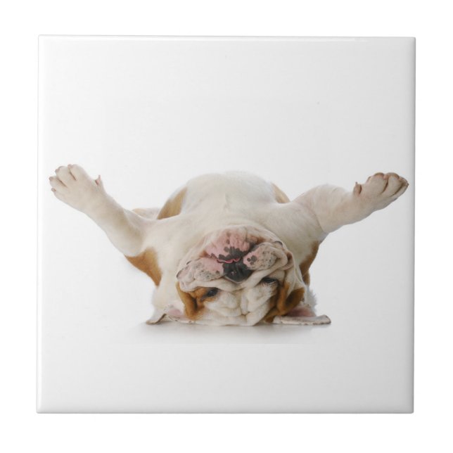 English Bulldog Ceramic Tile (Front)