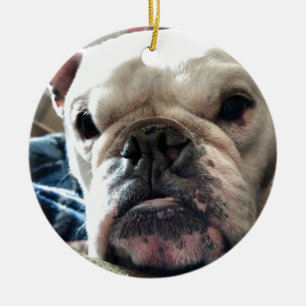 English Bulldog Ceramic Tree Decoration