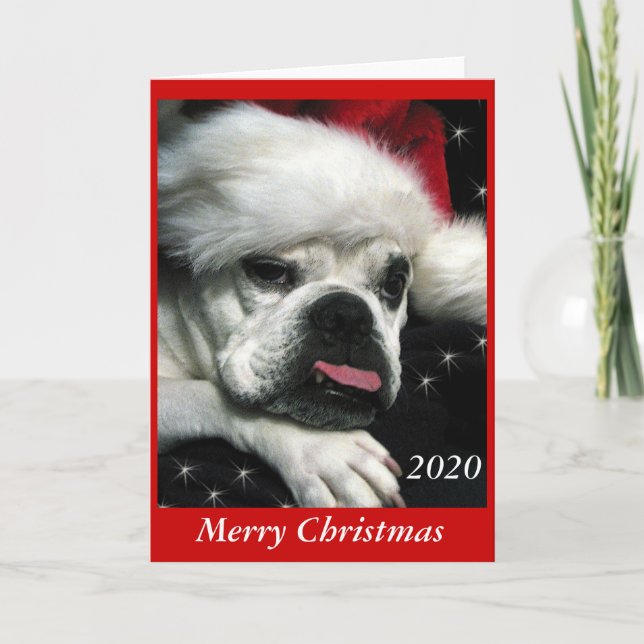 English Bulldog Christmas card. Holiday Card (Front)